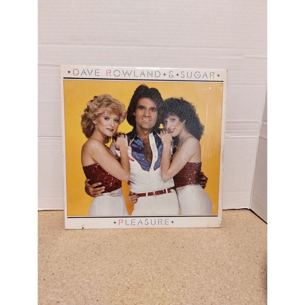 Dave Rowland & Sugar Pleasure Vinyl 12" Elektra 5E-525